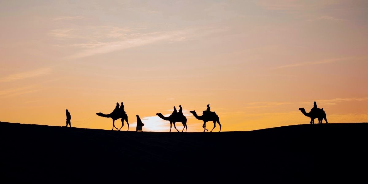 Rajasthan Camel Ride